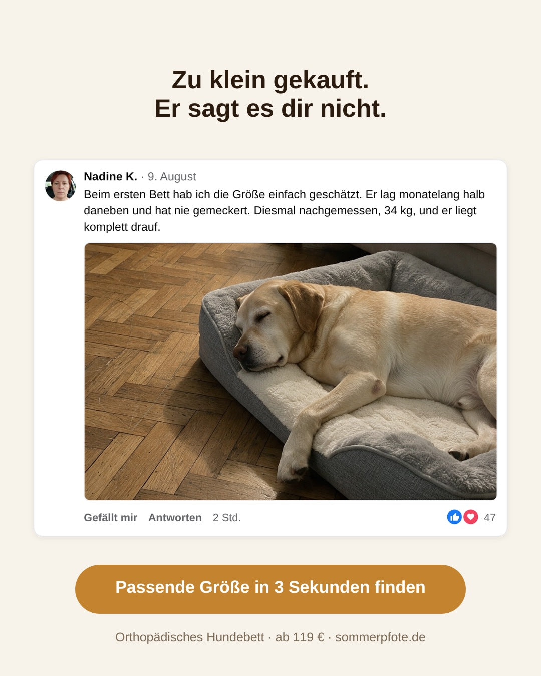 Anzeigenmotiv Groesse: vier Groessen, Kommentar