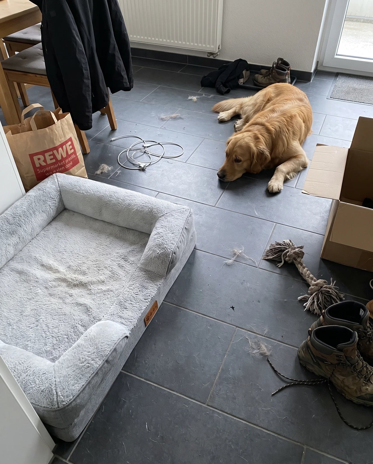 Hund liegt neben dem leeren Hundebett auf Fliesen