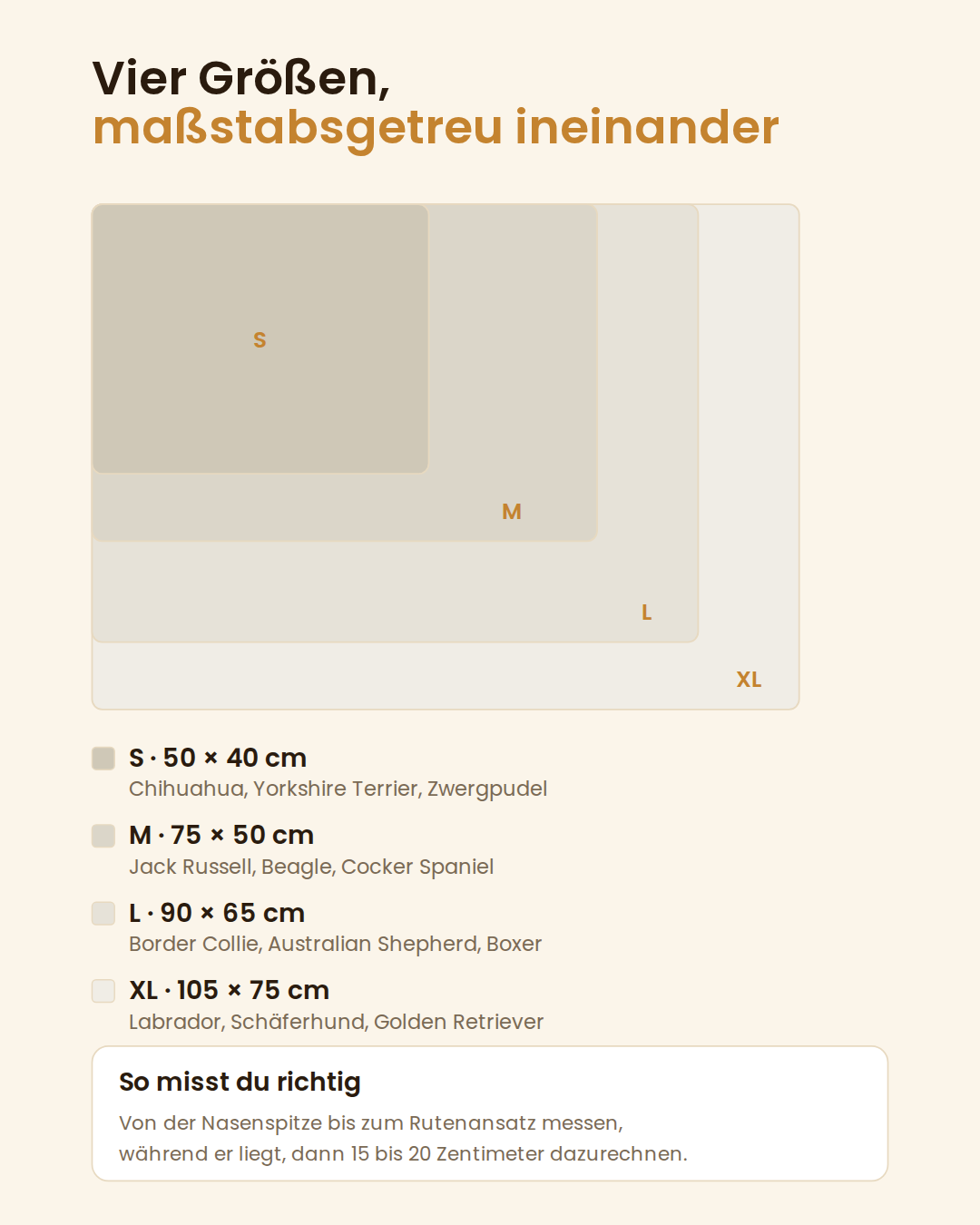 Vier Größen maßstabsgetreu ineinander mit Maßen und Rassen